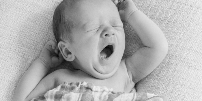 Max | Northern Virginia Newborn Photographer