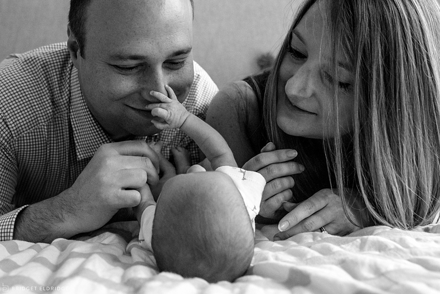 alexandria va newborn photographer