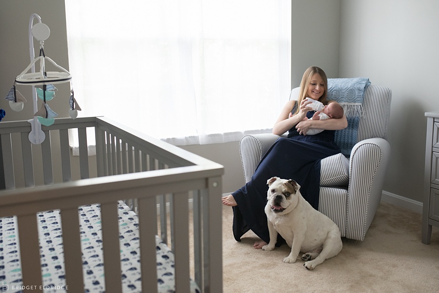 alexandria va newborn photographer