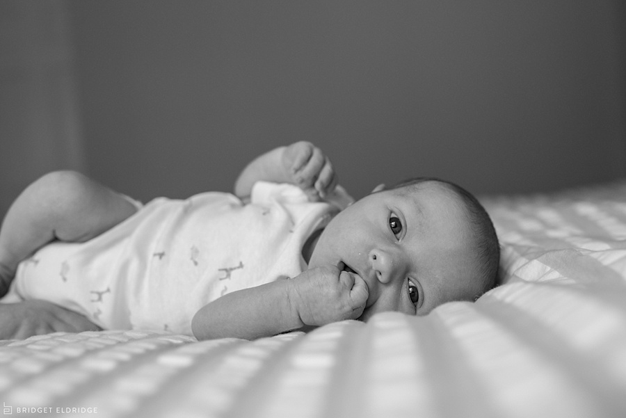 alexandria va newborn photographer