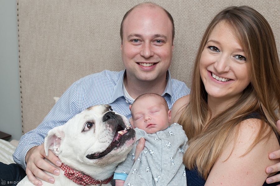 alexandria va newborn photographer