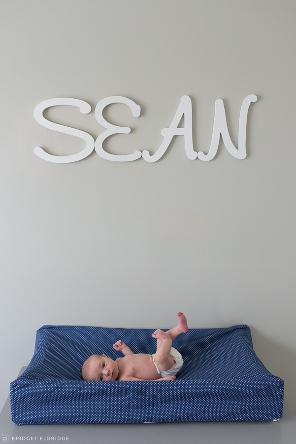 alexandria va newborn photographer