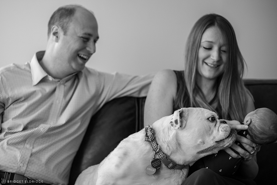 alexandria va newborn photographer