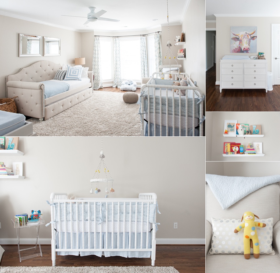 arlington va newborn photography