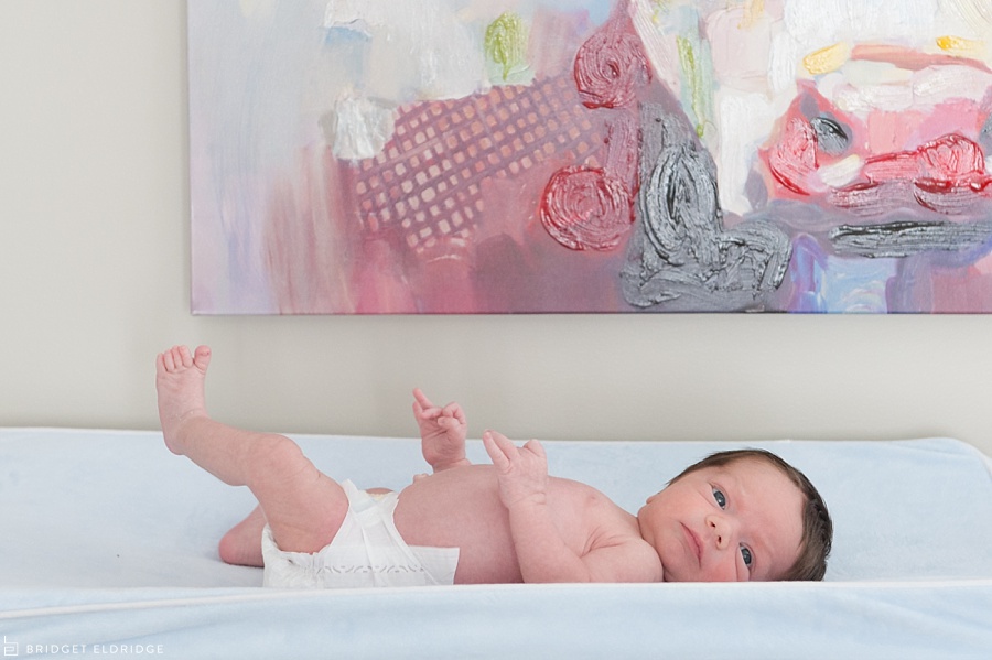 northern virginia newborn photographer
