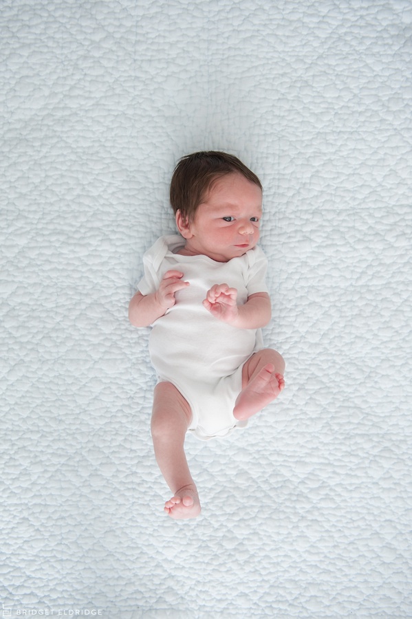 arlington va newborn photography
