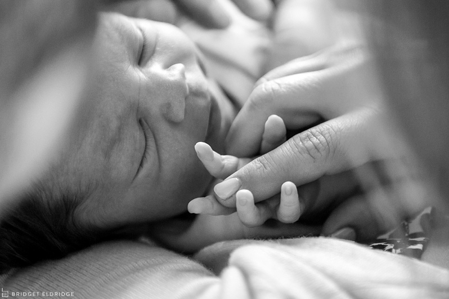 arlington va newborn photography