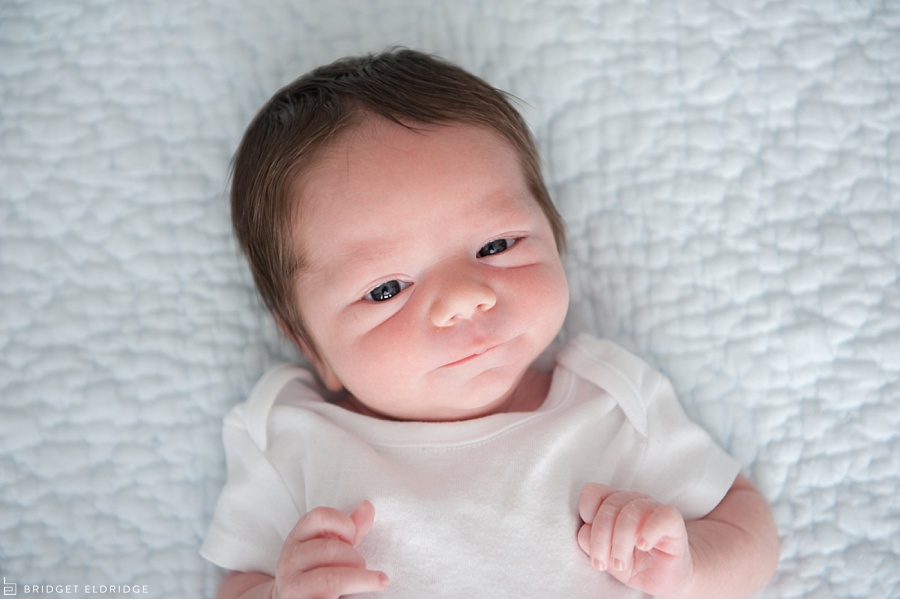 arlington va newborn photography