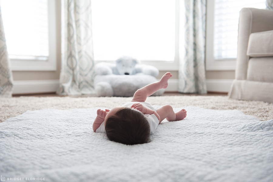 arlington va newborn photography